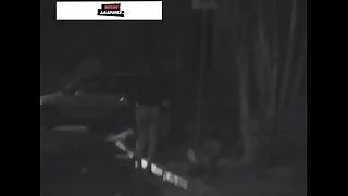 Homem grava vídeo de prostituta fazendo ponto em avenida de São Paulo - Brasil